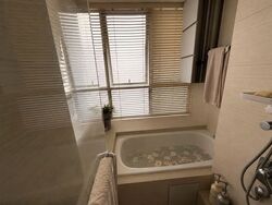 Oasis @ Elias (D18), Condominium #575807051
